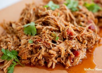 Easy Crockpot Salsa Chicken